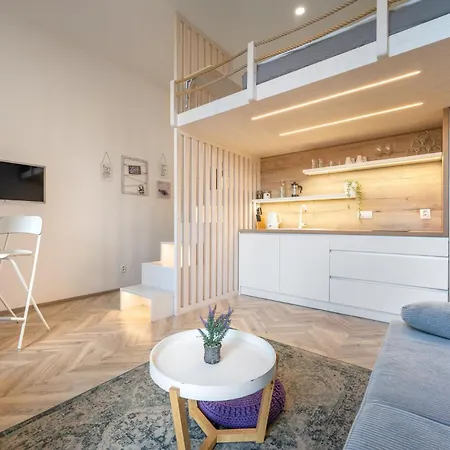 Apartment Internesto Vlhka 9 Brno